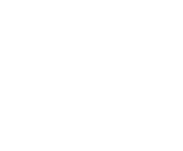 Evolution games at Vivemon Casino
